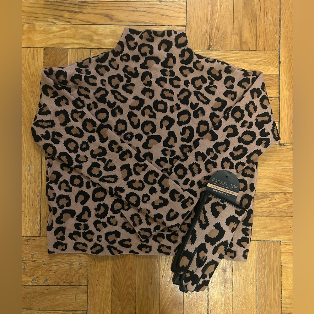Rachel Zoe sweater and gloves set